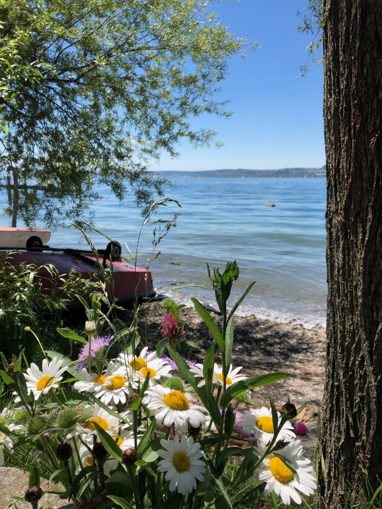 Die Sommerküche