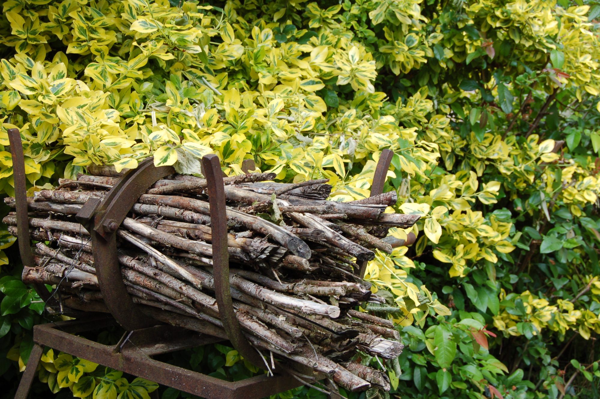 Sommerküche im Garten direkt am Bodensee