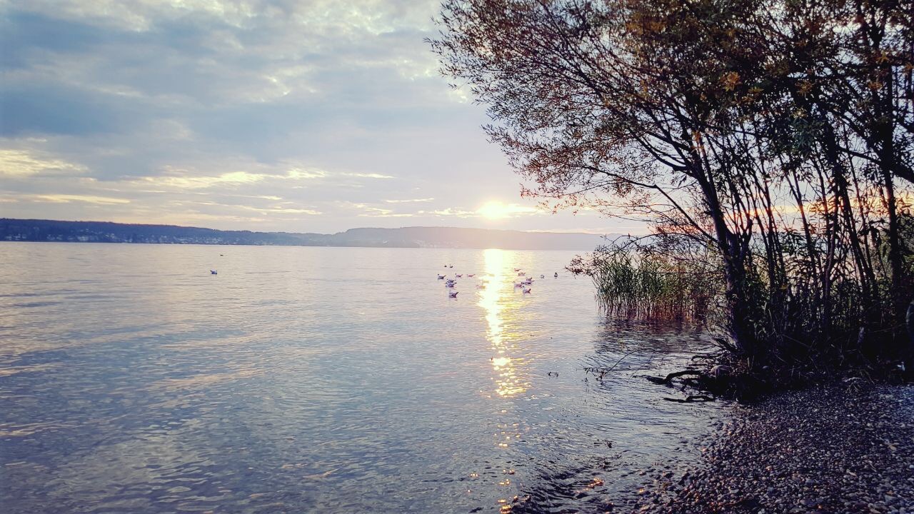 Bodensee-Panorama Richtung Konstanz
