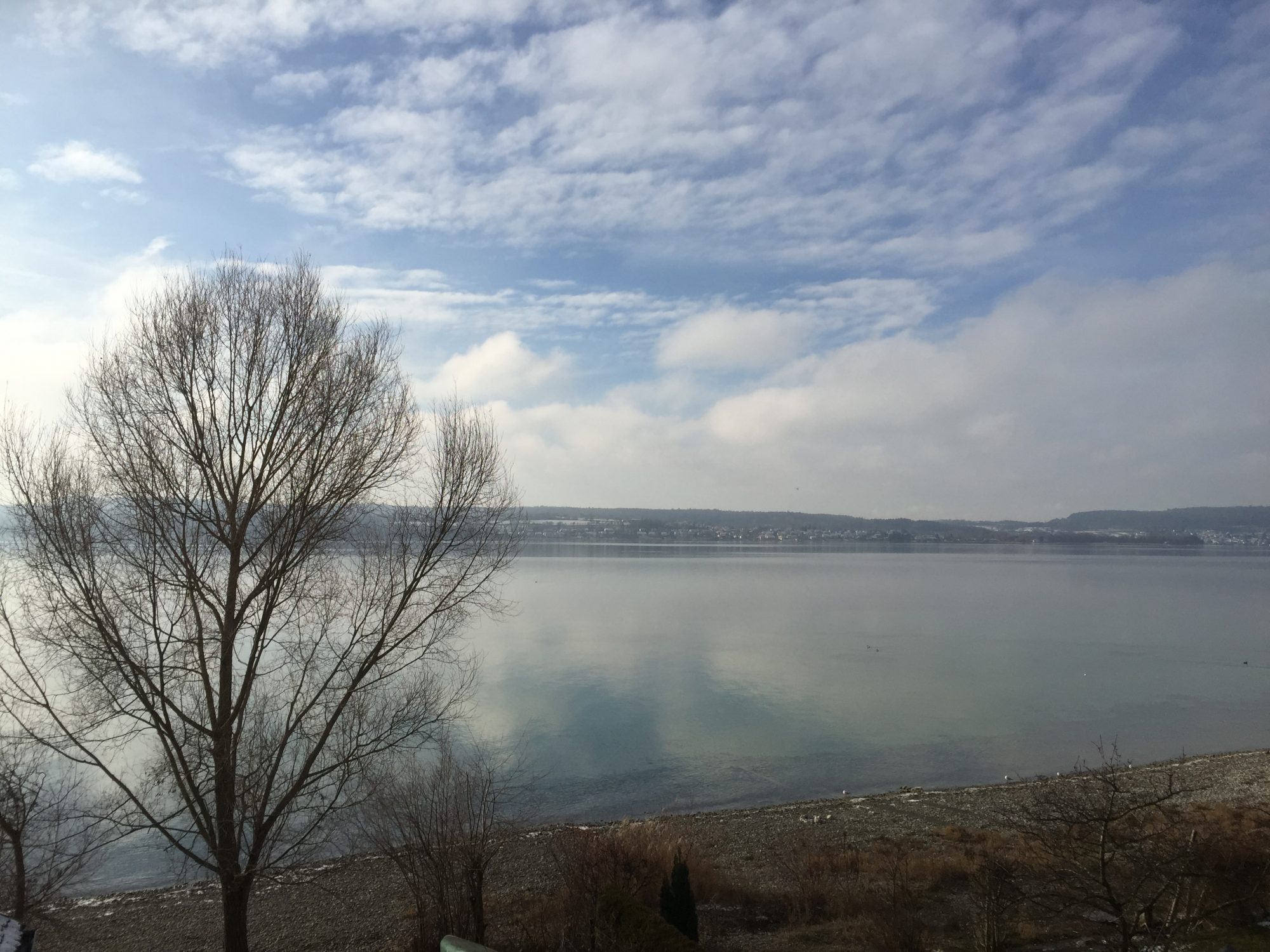 Seestraße Nußdorf mit Blick aufs Wasser