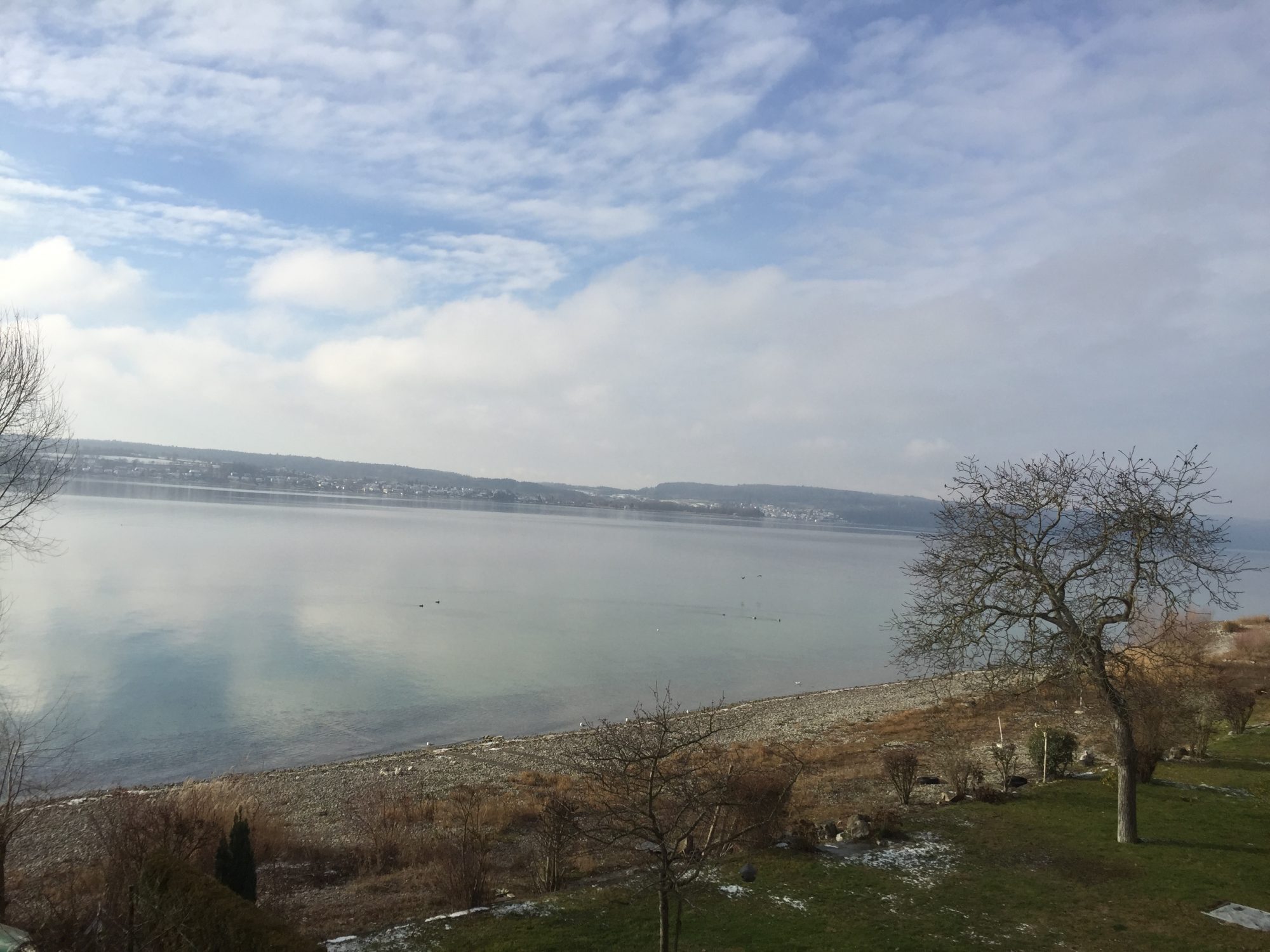 Segelboote auf dem Überlinger See