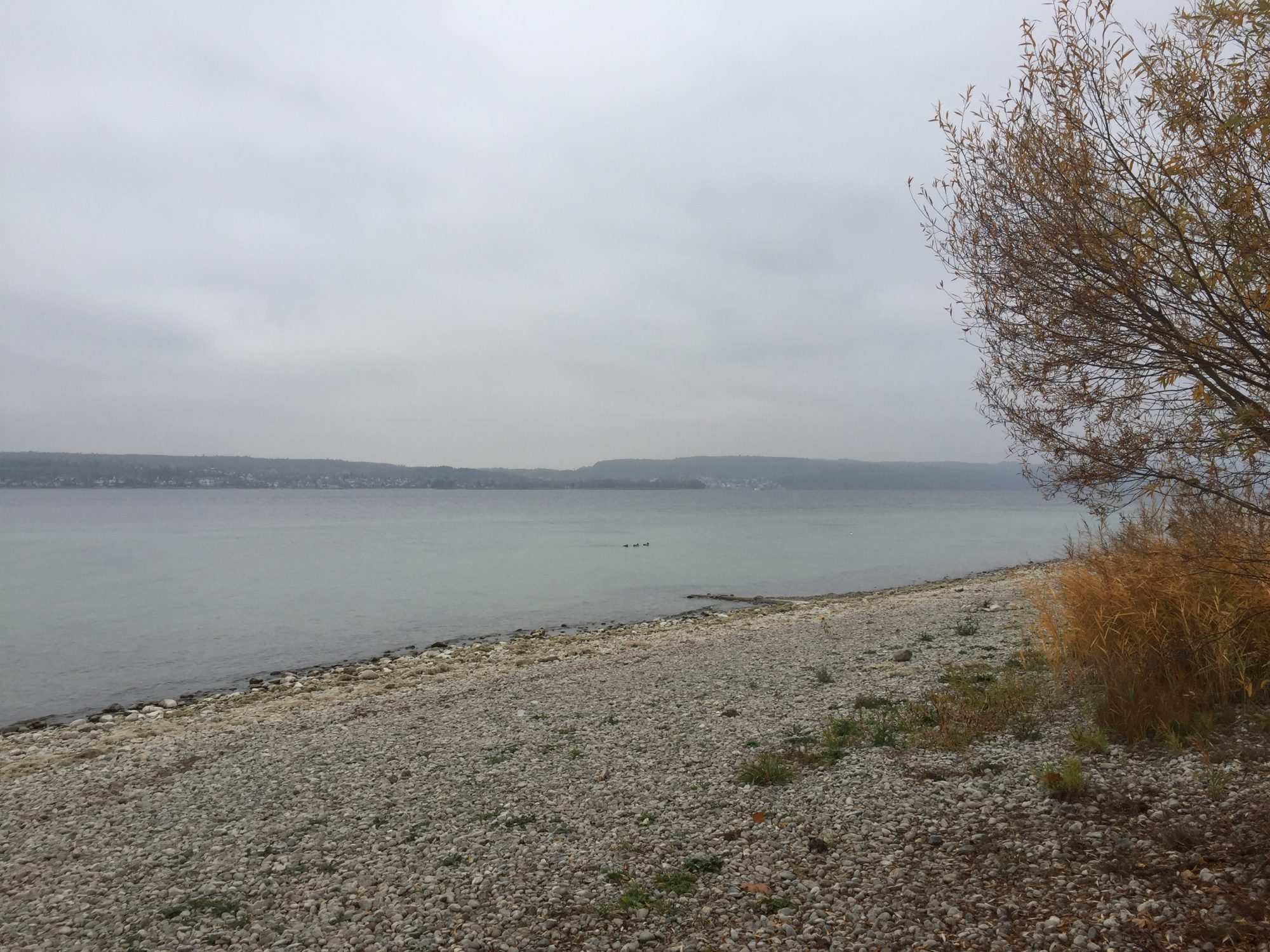 Blick von der Ferienwohnung auf den Bodensee
