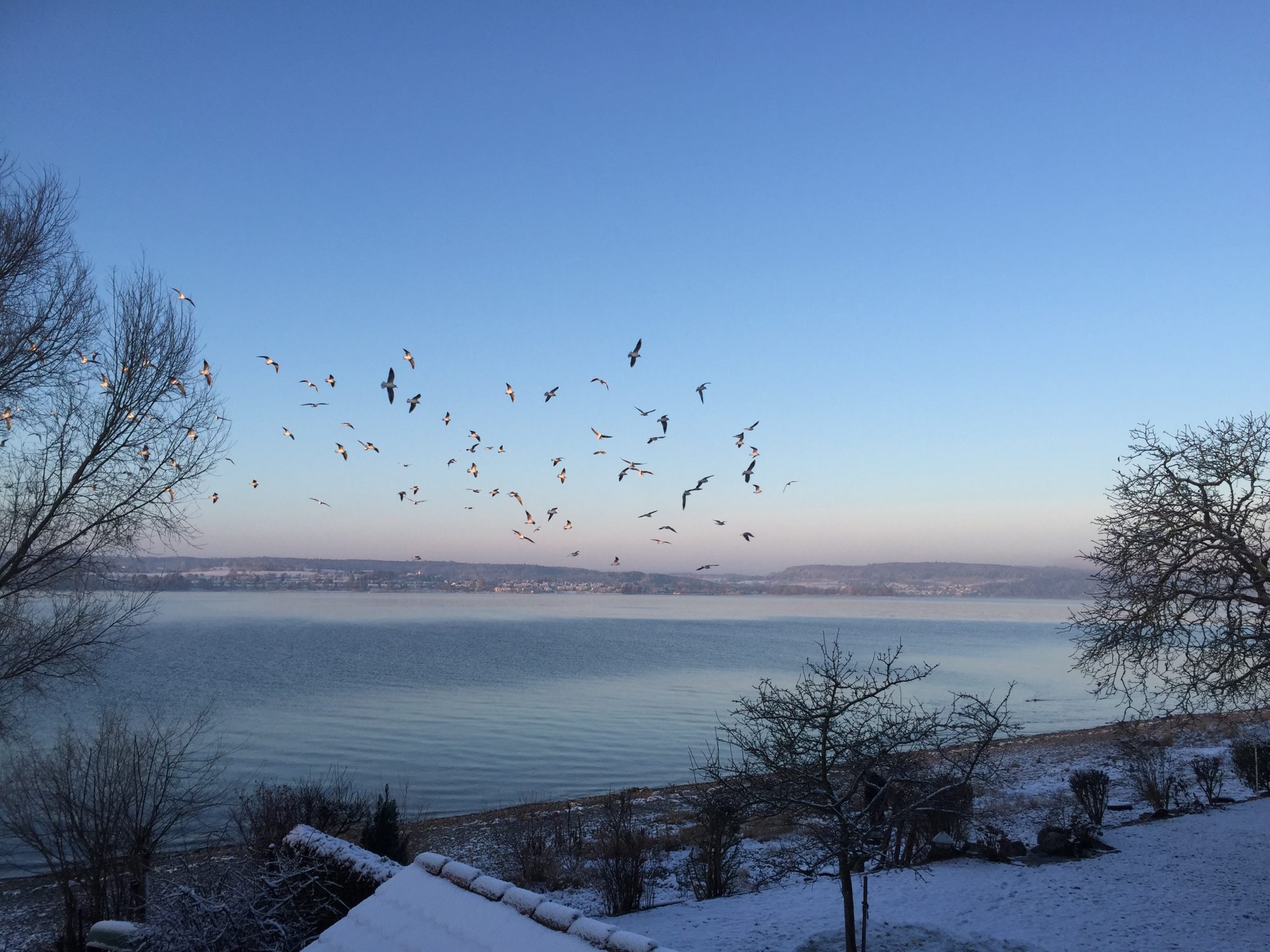 Nußdorf am Bodensee im Frühling