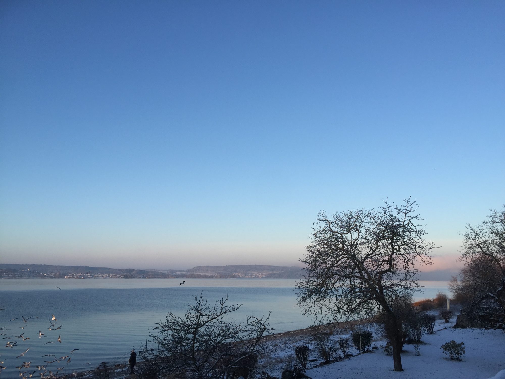 Radweg am Bodensee direkt vor dem Haus