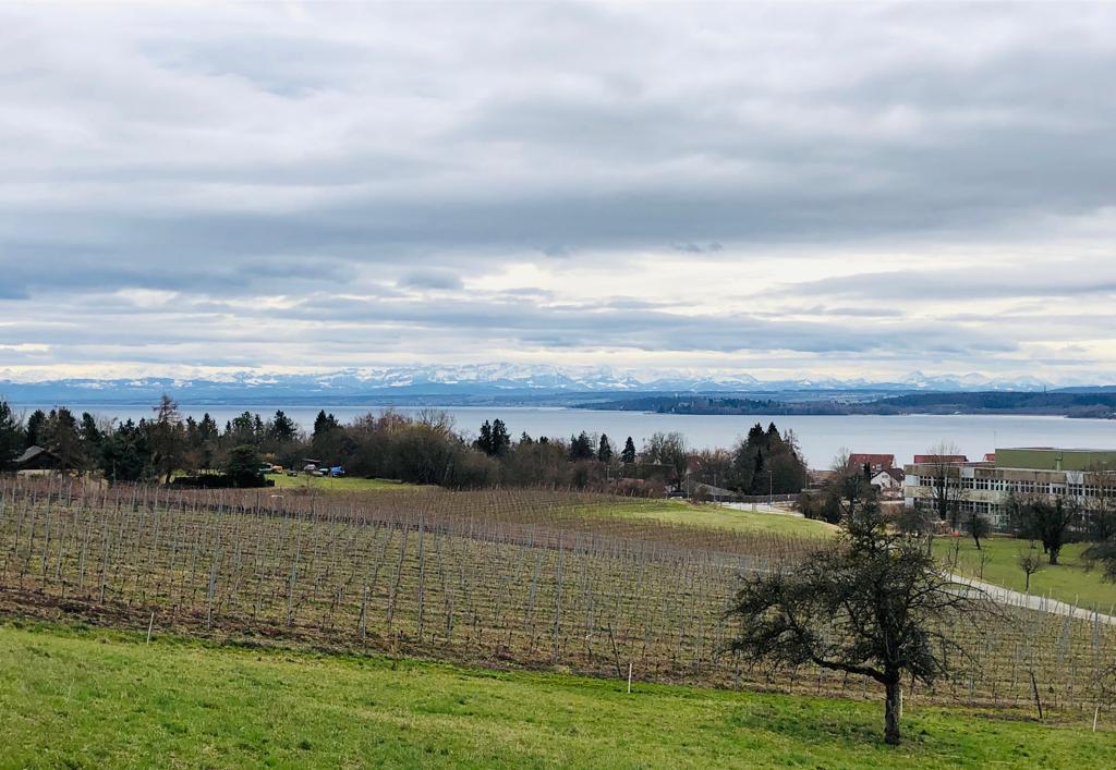 Blick aus dem Garten auf den Überlinger See