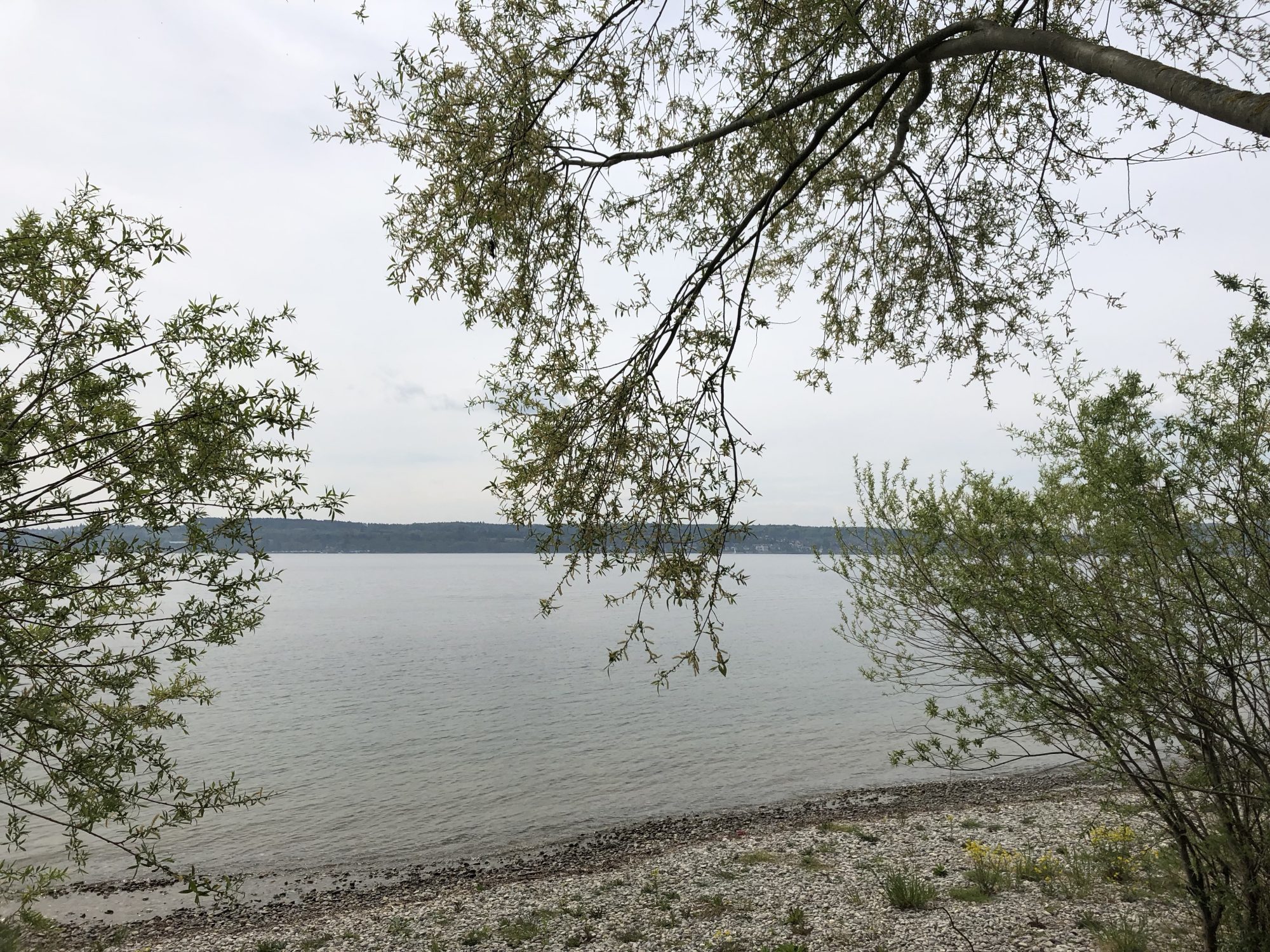 Bodensee-Küste in der Nähe von Nußdorf